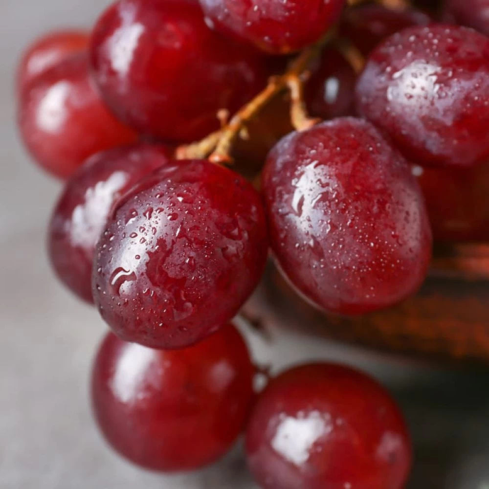 Vita de Vie Apulia Rose, Vitis Vinifera, pentru masa, rosu