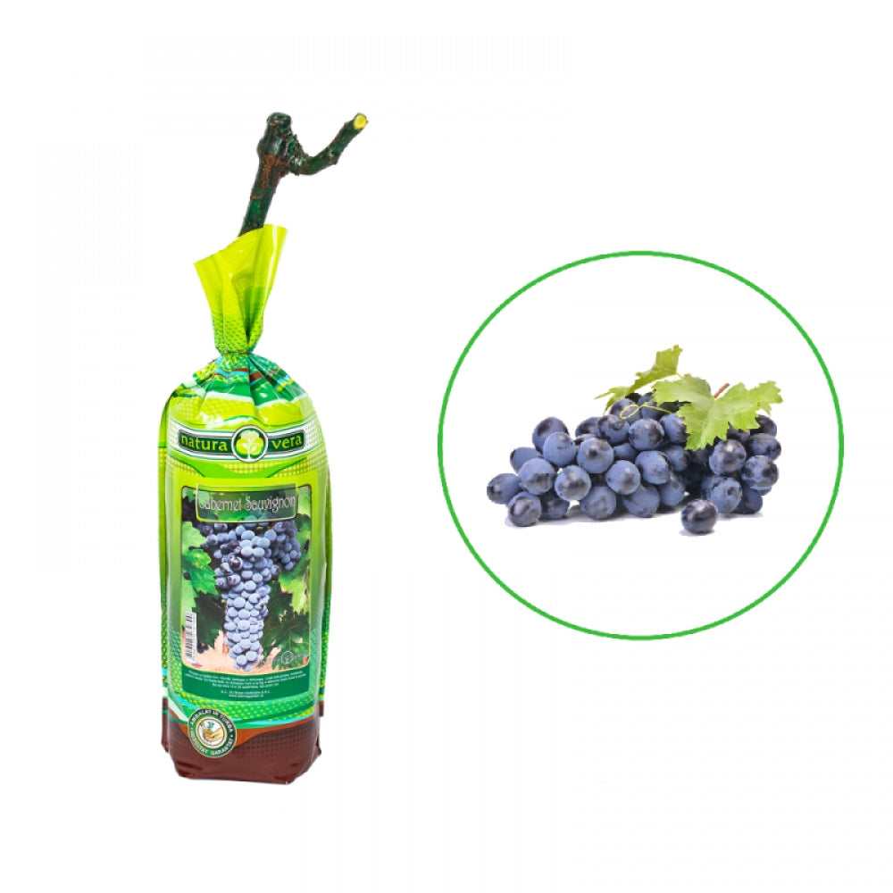 Vita de Vie Cabernet Sauvignon, Vitis Vinifera, pentru vin, negru