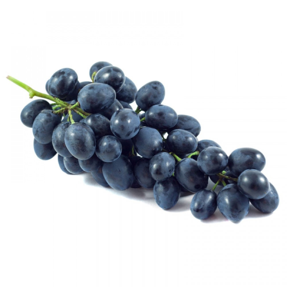 Vita de Vie Francese Nera, Vitis Viniferaa, pentru vin, negru
