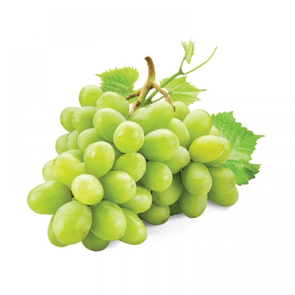 Vita de Vie Grapes Bolgar, Vitis Vinifera, pentru masa, alb