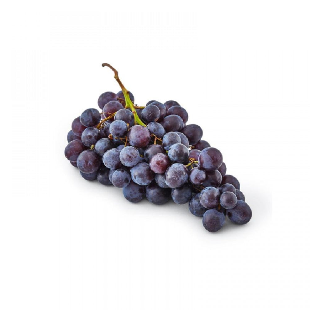 Vita de Vie Muscat de Hamburg, Vitis Vinifera Zibibbo Nero, pentru masa, negru