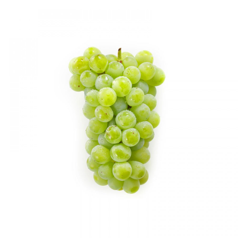 Vita de Vie Perla, Vitis Vinifera, pentru masa, alb