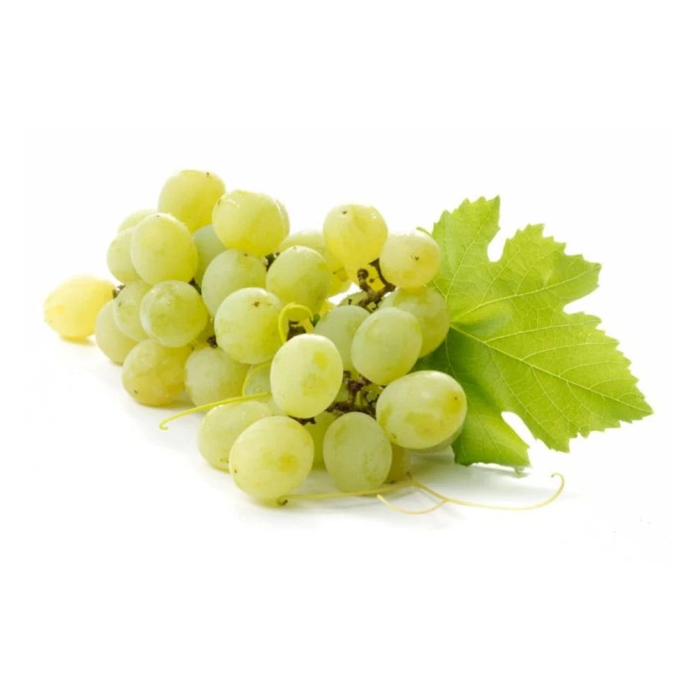 Vita de Vie Superior Seedless, Vitis Vinifera, fara samburi, alb
