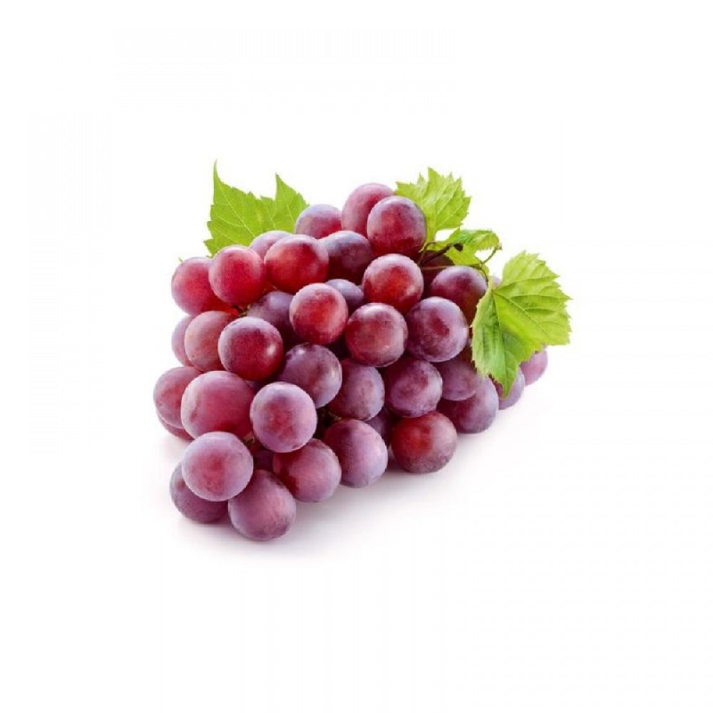 Vita de Vie Traminer, Vitis Vinifera, pentru vin, rosu