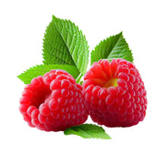 Zmeur Autumn Bliss, Rubus Idaeus Autumn Bliss