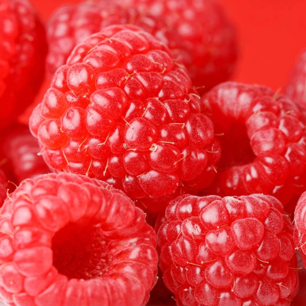 Zmeur Glen Lyon, Rubus Idaeus Glen Lyon