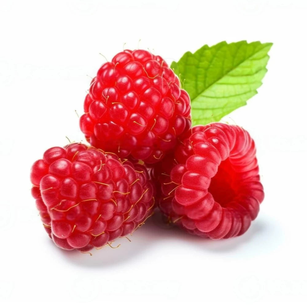 Zmeur Glen Lyon, Rubus Idaeus Glen Lyon