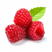 Zmeur Glen Lyon, Rubus Idaeus Glen Lyon